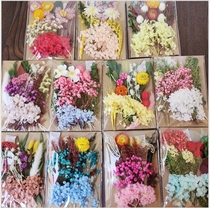 DIY flower handmade dried flower bag embossed pastoral immortal leaf frame painting scented candle material