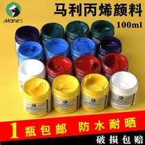 Marley acrylic pigment set 100ml beginner painting hand painted wall shoes stone diy textile special waterproof
