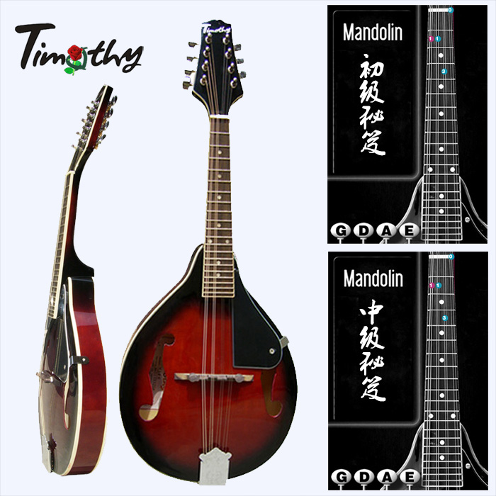 Timothy is so cute, intermediate M100 treble, free piano, full set of eight-string mandolin instruments, mandolin piano