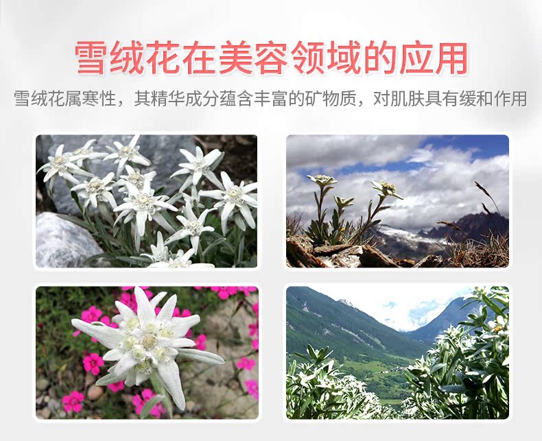 2016-7-2雪绒花蚕丝面膜790_10.jpg