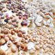 Weigh Jin [Jin is equal to 0.5 kg] Mini natural conch shell small mixed sticker DIY hand-decorated fish tank white shell conch conch