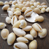 15 yellow snails 15 golden screw tops clothing accessories conch shells starfish tank aquarium wall decoration