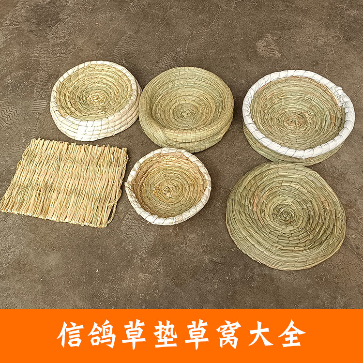 Egg-laid egg-laid egg-laid egg-laid egg-laid egg-laid pigeon