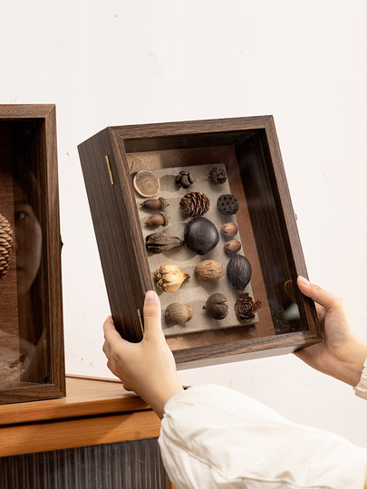 Three-Dimensional Hollow Specimen Photo Frame Dried Flower DIY Display Frame Insect Plant Shell Picture Frame Medal Badge Storage Box