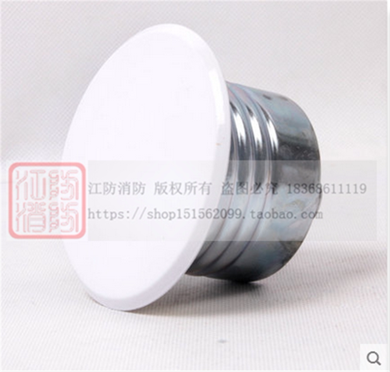 2017 new product DN15 concealed sprinkler head sprinkler 68 degrees 4 minutes fire spray 68 degrees invisible sprinkler ZSTDY15