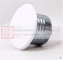 2017 new product DN15 concealed sprinkler sprinkler 68 degrees 4 points fire spray 68 degrees invisible sprinkler ZSTDY15