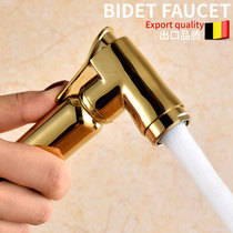 Titanium gold female wash nozzle European bubble hot and cold toilet wash pp vaginal spray gun cleaning body faucet