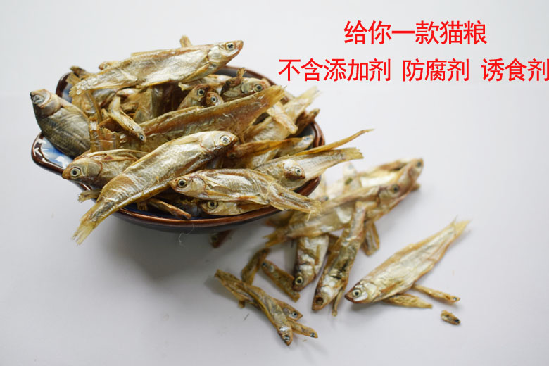 Mèo nhỏ cá khô dải thịt cá mol Nước ngọt cá canxi mèo ăn thức ăn tươi tự nhiên nguyên chất cho mèo 500g - Đồ ăn nhẹ cho mèo thức ăn cho mèo ta