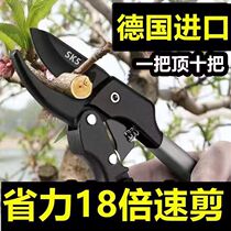 Germany imported steel fruit tree pruning shears powerful flower branch scissors branch pruning garden shears labor-saving thick branch shears