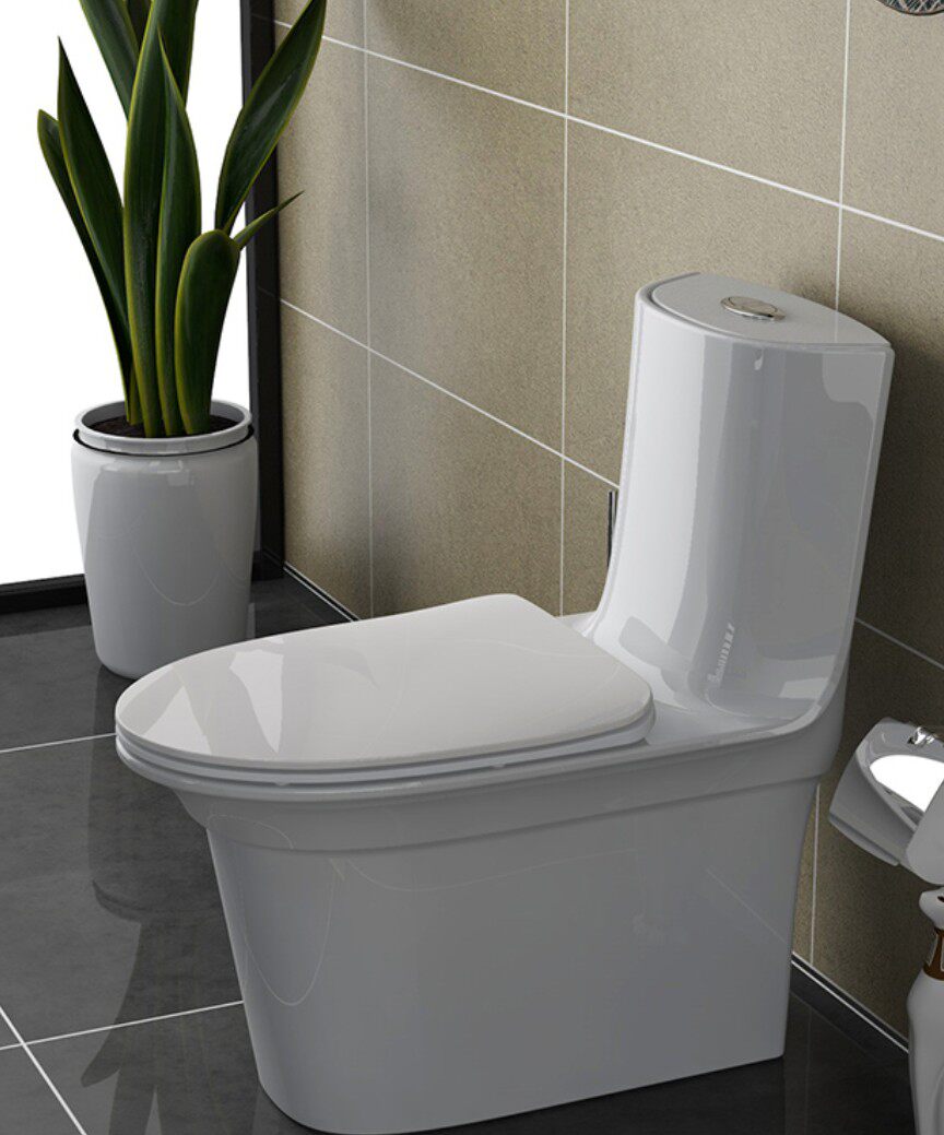 ANNWA One-piece ordinary toilet NL119