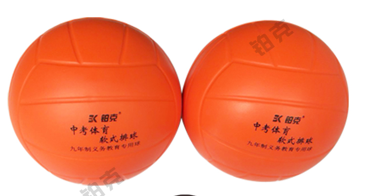 Ballon de volley - Ref 2016629 Image 17
