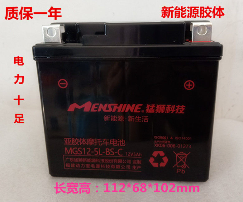 Locomotive battery 12V free of maintenance YTX5L-BS Five sheep Honda Scooter Smart 100 colloidal battery