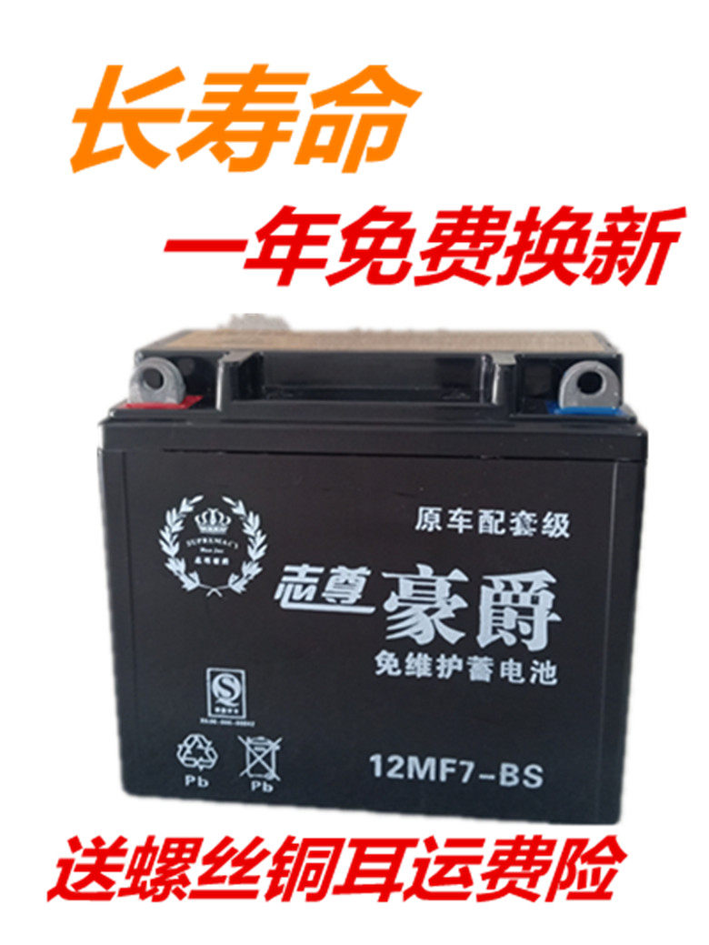 Locomotive storage battery 12V Universal pedal 125 locomotive accumulator bending beam locomotive straddle carrier dry battery-free