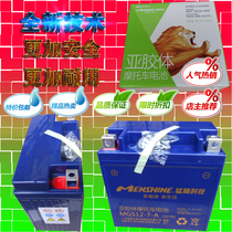 Tricycle Motorcycle Battery Battery Dry Battery 125 Moped Curved Beam Car Lady Scooter 12V7A