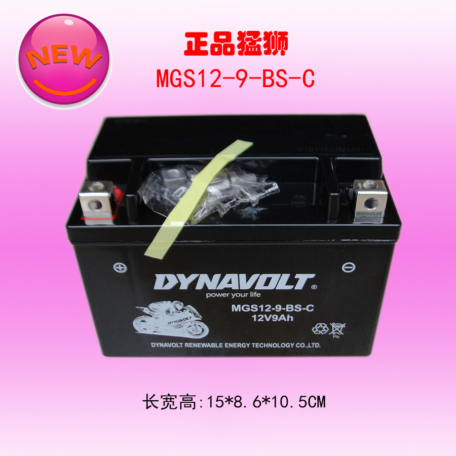 Lions motorcycle battery YTX9-BS GW250 Huanglong 600 300 Guangyang 250 Benali 12v Universal