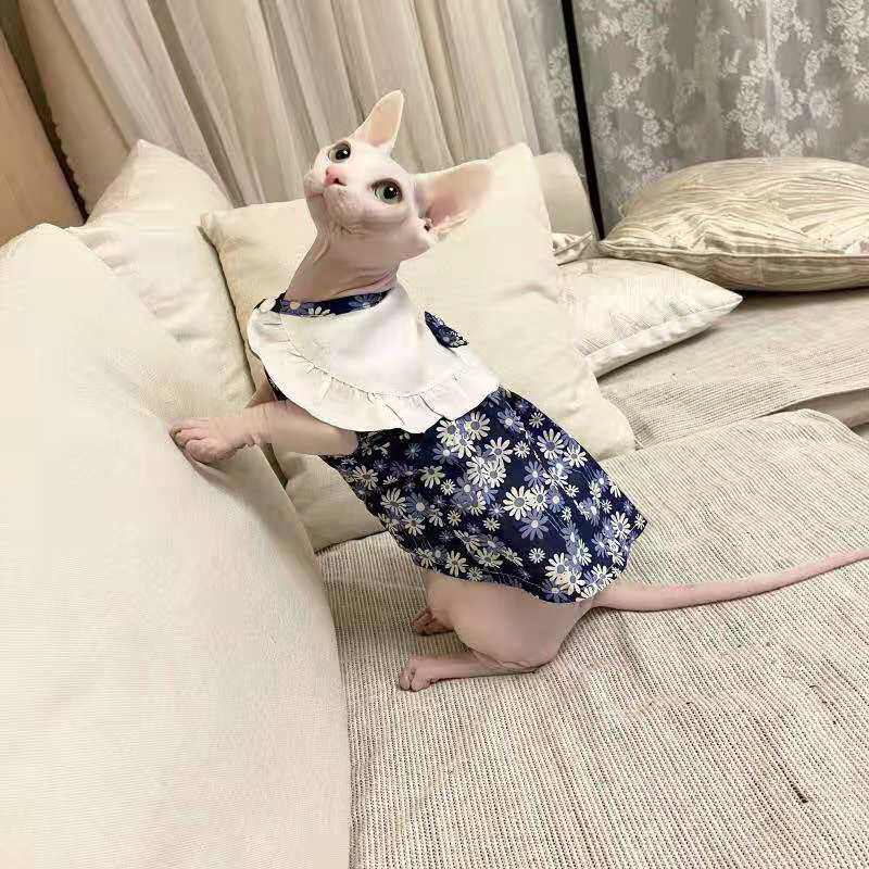 MIMIKAKA hairless cat Sphinx cat clothes small skirt summer Devon pet cat clothes dress