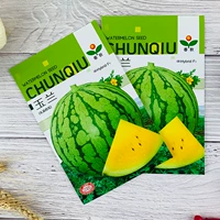 Магнолия радужного арбуза 10 г/возникла из зеленого кожаного мяса на Тайване