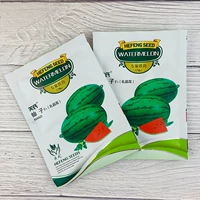 Fairy F1 Подарочная дыня 200 зерна/зеленая кожа красное мясо