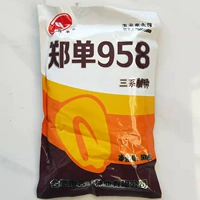 Zheng Dan 958 фунт оригинала