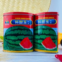 Ke Tianyu сладкий король арбуз 50 граммов оригинального украшения