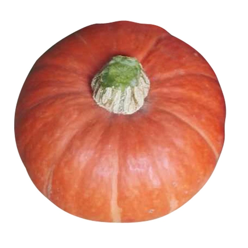 Красная Beibei тыквенные семена каштана высокая -подвеска сладкие золотые семена тыквы весна четыре сезона балкон -фермерские