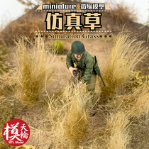 Simulation Grass Drying Grass DIY Wild Grass Trees Construction Railway Train Soldiers Terra Terra Disc Scenario Models
