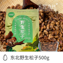 Heyuan Forest Wild Pine Nuts 500g a specialty from the northeast of Xiaoxingan Mountains full and high quality with bag opening