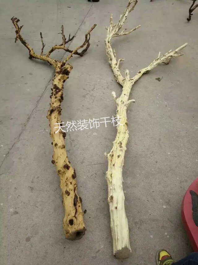 Modelling Pomegranate Tree Bleached Pomegranate Tree Clothing Decoration Trees Dry Branches White Branches Skinning Tree Modelling Trunks-Taobao