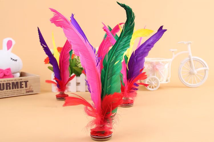 Thể dục chính, tóc, lông, lông, ngỗng, đá, hoa, dế, trò chơi, bóng đặc biệt, gân trẻ em, 4 - Các môn thể thao cầu lông / Diabolo / dân gian quả cầu đá lông công