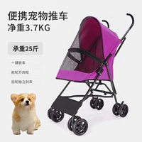 Rose Red [один автомобиль, получающий автомобиль.