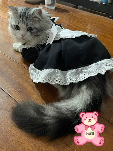 Наряд для любимой горничной кошка собака кошка платье милая одежда кота кошка собака юбка принцесса лолита