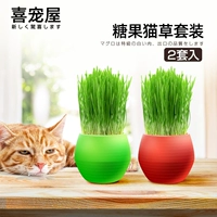 Конфетная кошка