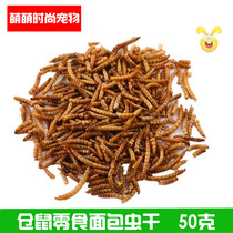 Hamster special bread worm dry yellow mealworm turtle food hamster supplies hamster food 50g live suit