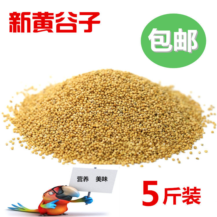 With shell Xiaomi tiger leather peony root Xuanfeng Wen bird parrot bird food yellow valley Sub-bird grain and bird feed 1 piece