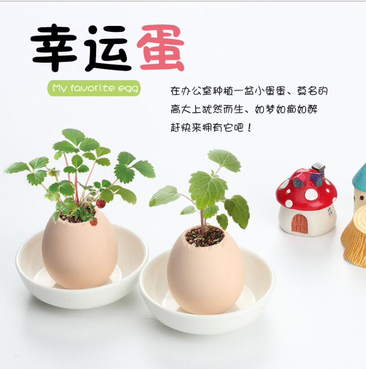 Lucky Egg Simulation Egg Small Potted Lucky Egg Green Plant Advertising Opening Activities Scan Code Gift Printing LOGO