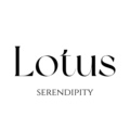 Lotus私物