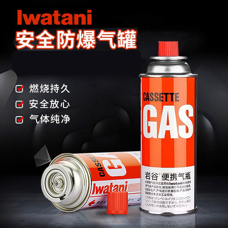 Rock Valley Cassette Furnace Gas Tank Portable Cassette Gas Cylinder Outdoor Camping Explosion Proof Gas Tank Stove Universal Gas Cylinder 250g