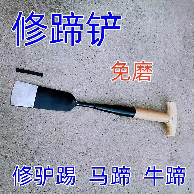 Horse Hoof Shovel, Hoof Shovel Tool, Horse Hoof Trimming Tool, Equestrian Tool, Forged Spring Steel Hoof Shovel, Donkey Hoof Shovel