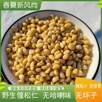 Yansong town wild pine nuts baked Daxinganling horsetail pine nuts original flavor pine nuts snacks for pregnant women