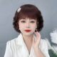 Wool Curl New Style Female Natural Lifelike Short Curly Hair Fashion Mom Simulation Human Hair Cover for Middle-aged and Elderly Medium and Long Curly Hair Cover