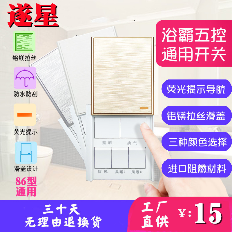 Bath switch 5 open cover universal bathroom waterproof five in one 5LS 86 bathroom household wind heating panel