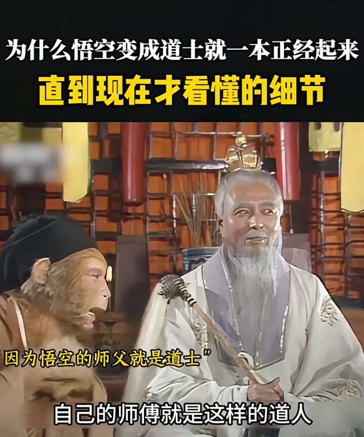 王大皮本草一弘哥一说国医的LOGO