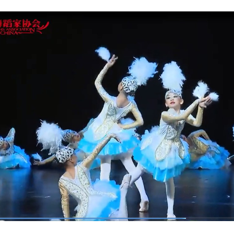 Phong cách Xiaohe thứ chín cho trang phục biểu diễn vũ điệu Tiange ngỗng của trẻ em váy múa ba lê - Trang phục trang phục biểu diễn thời trang cho bé
