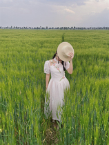 Yellow Pussy Classmates Original Homemade Fall in the Rose Sea Hand Sewn Flowers Teenage Girl Sensation National Wind Big Swing Dress Qipao