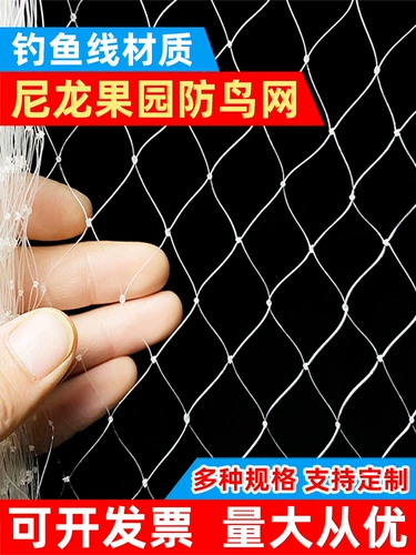 Анти -бирд -садовый фруктовый дерево вишневый дерево виноградный виноградный зеленый сара