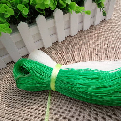 Растение карабля виноградного растения, посаженная на посадку, огурца огурца огурцы огурцы огурца горькая тыква висящая дыня луновая дыня пайксианская фруктовая крошка. Сеть сельскохозяйственное использование