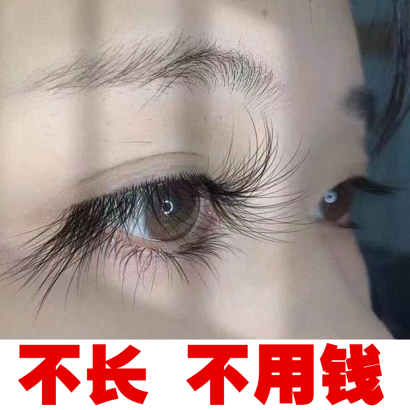 (Recommended by Li Jiaqi) thick and dense curly natural pat 1 hair 3 Farewell false eyelash growth liquid brow growth liquid