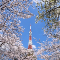 Come and pick up the missed acrime (s).) o Some Japanese minor groceries ~ ~