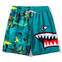 Quick-drying loose beach pants mens Tide brand northeast flower pants double-lined big shorts seaside holiday embarrassment