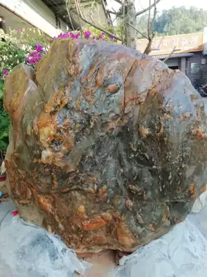 Yangchun famous stone big tendon wax stone (Turtle) strange stone ornaments